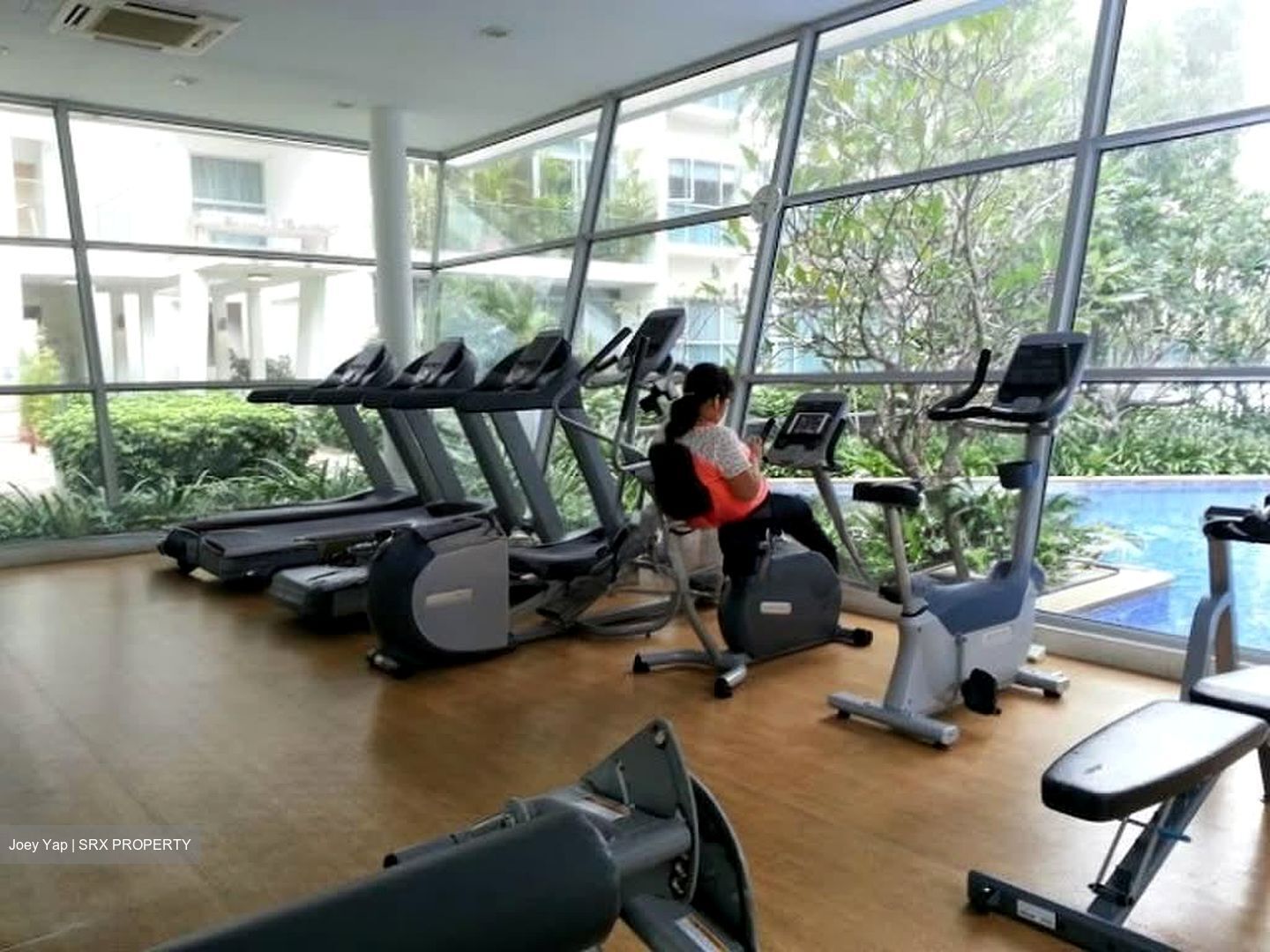 Amber Gardens (D15), Condominium #596580751